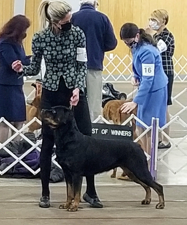 Harper went BOS both days - Click for Larger View