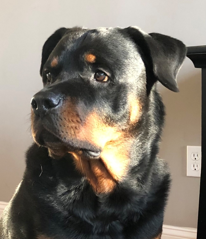 Kensey Kneen Christmas 2021 - Click for Larger View