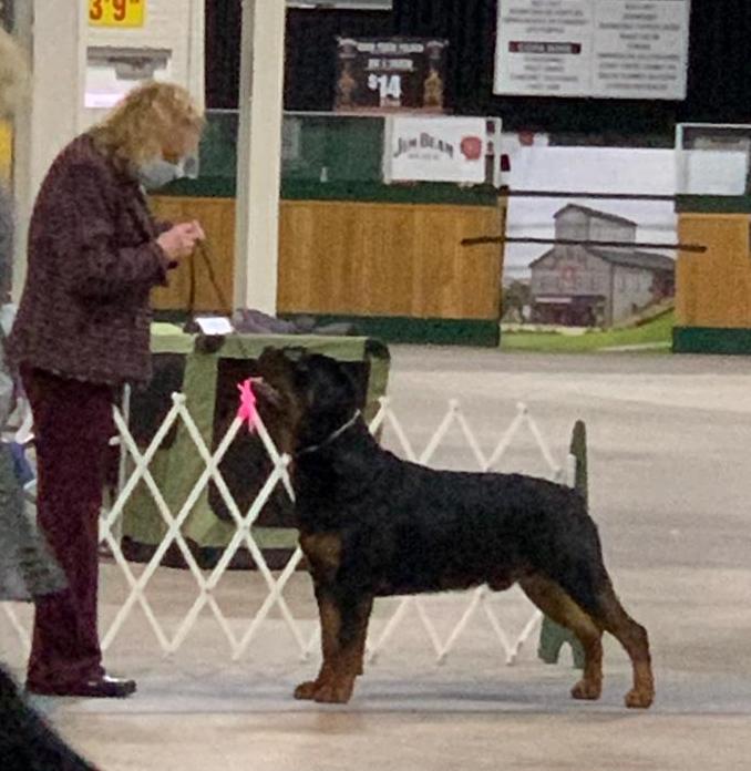 Roscoe OH Grp 2 - Click for Larger View