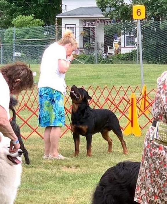 Roscoe Group 1 - Click for Larger View