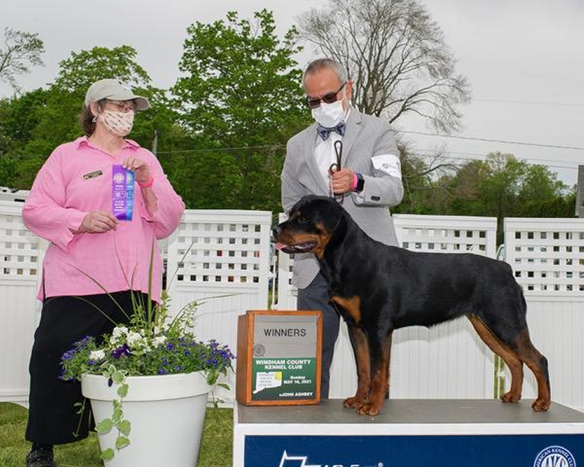 Stevie WB May 14 2021 - Click for Larger View