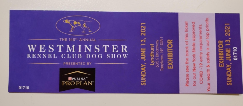 Westminster ticket - Click for Larger View