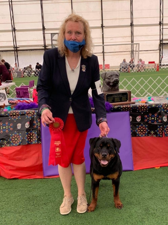 Zamora 6-9 puppy class - Click for Larger View