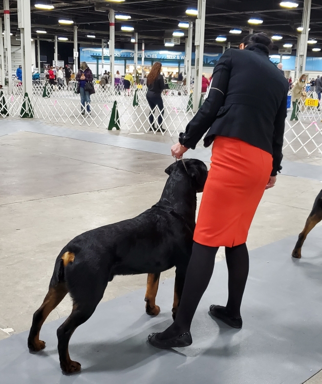 Bubbles WD @ 22 months - Click for Larger View