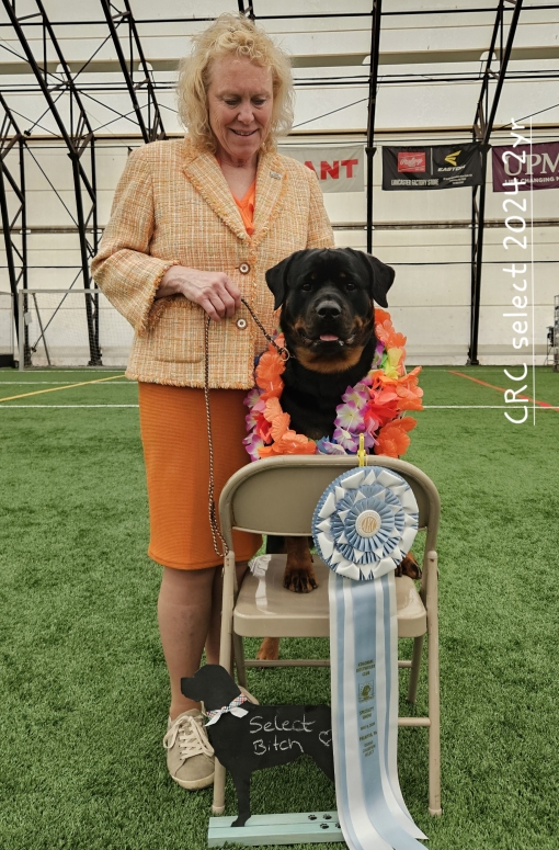 CRC - Click for Larger View