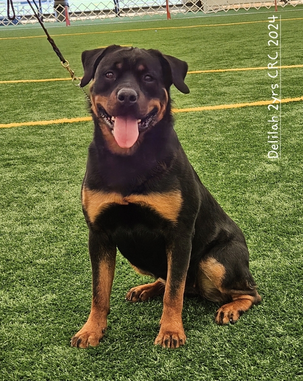 CRC - Click for Larger View