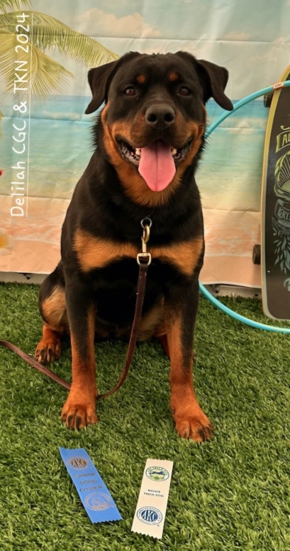 CRC - Click for Larger View