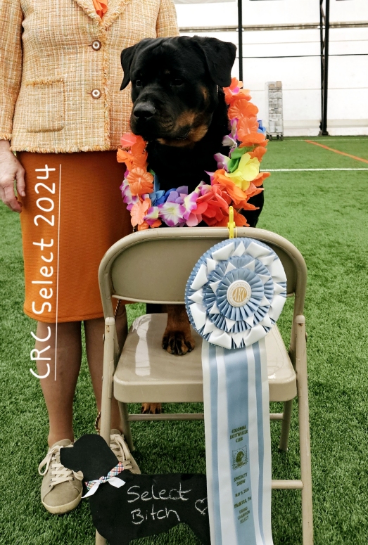 CRC - Click for Larger View