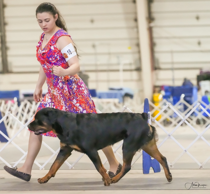 Greta BOS side gait CT River 2024 - Click for Larger View