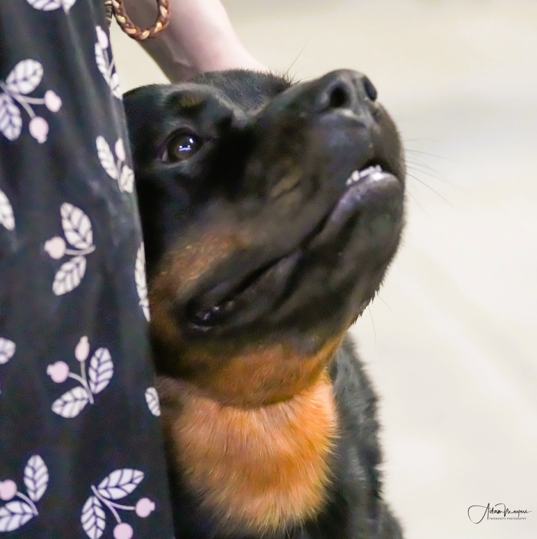 Greta gazing up look 23mo CT River 2024-Click for Larger View