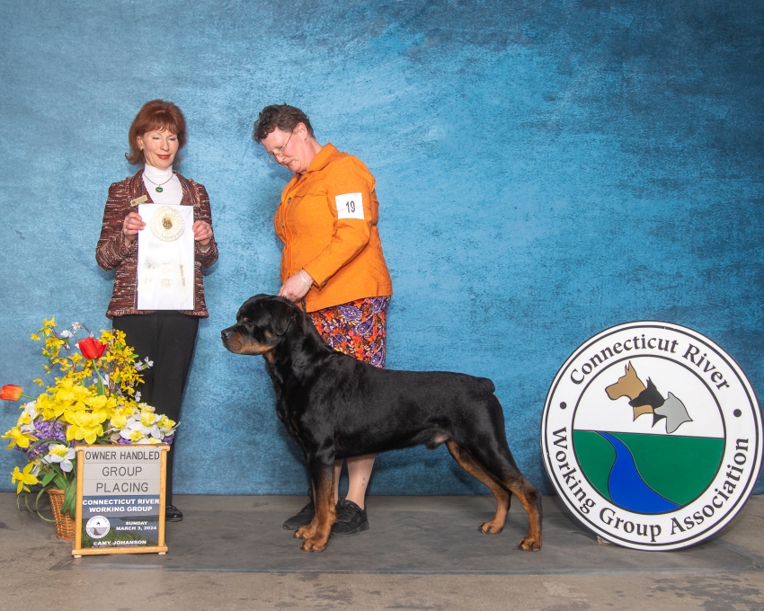 Jameson BOBOH, OH Grp 4 - Click for Larger View