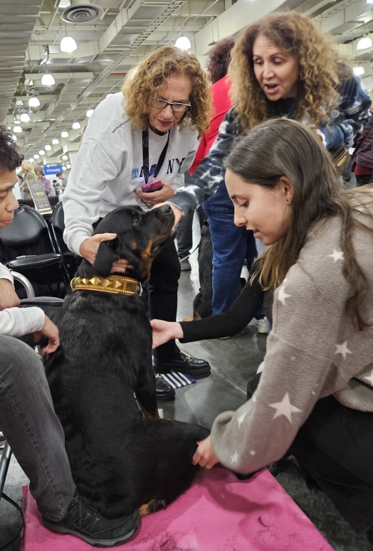 Jameson BOBOH, OH Grp 4 - Click for Larger View