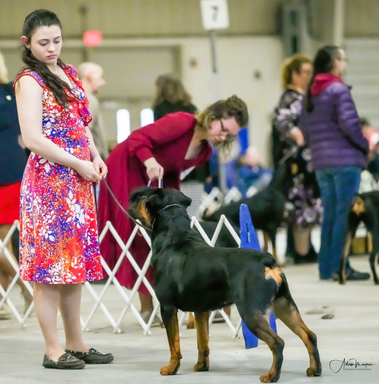 Marnie - Click for Larger View