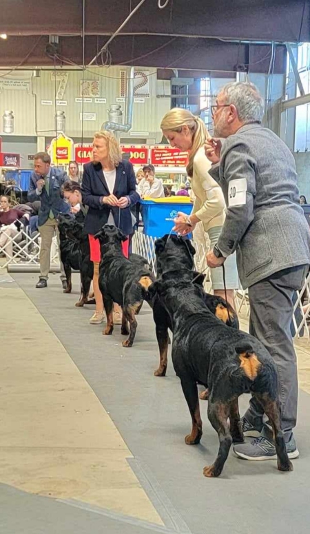 Marnie - Click for Larger View