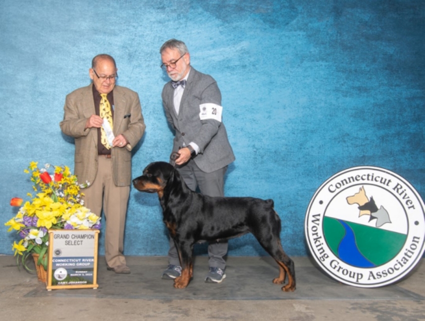 Stevie Select CT River 2024 - Click for Larger View