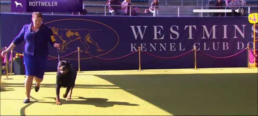 Westminster - Click for Larger View