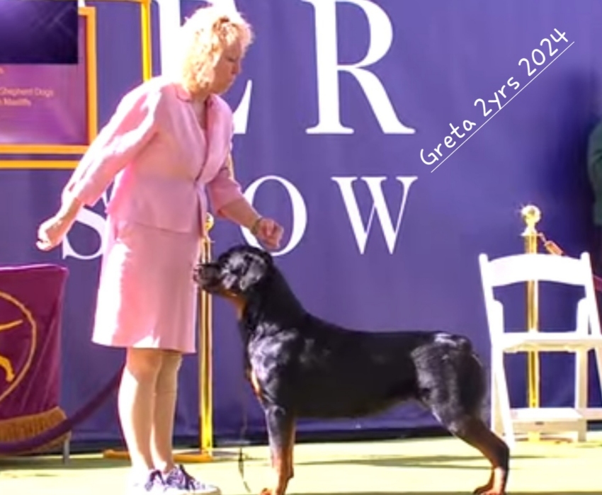 Westminster - Click for Larger View