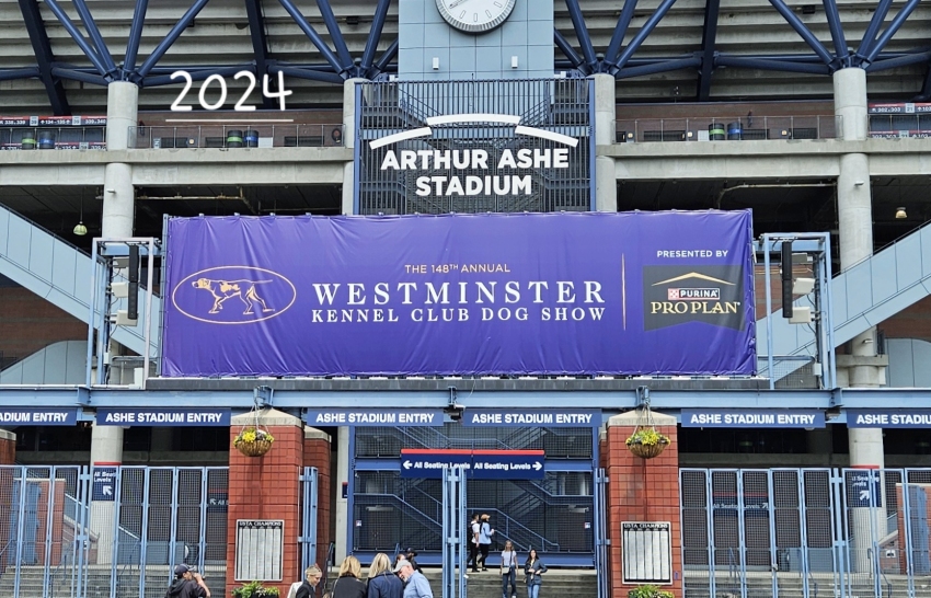 Westminster - Click for Larger View