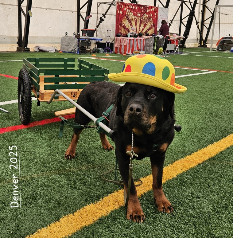 CRC Specialty, Palmyra PA May 1-8, 2025 - Click for Larger View