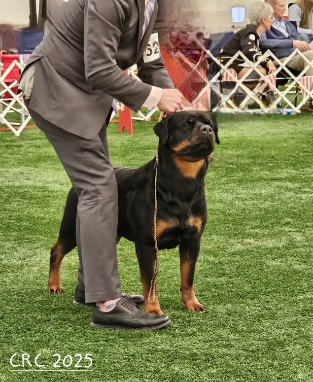 CRC Specialty, Palmyra PA May 1-8, 2025 - Click for Larger View