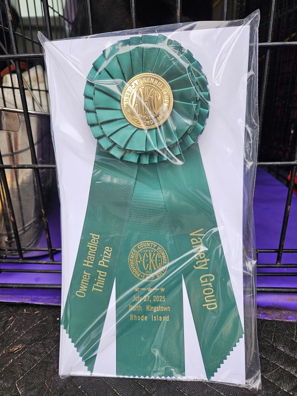 Greta BOB 6-15-25 - Click for Larger View