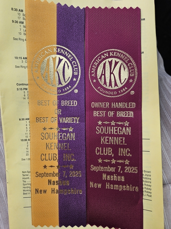 Greta @ 3yrs - Click for Larger View