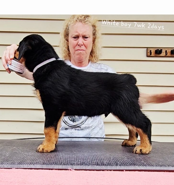 Click for Larger View