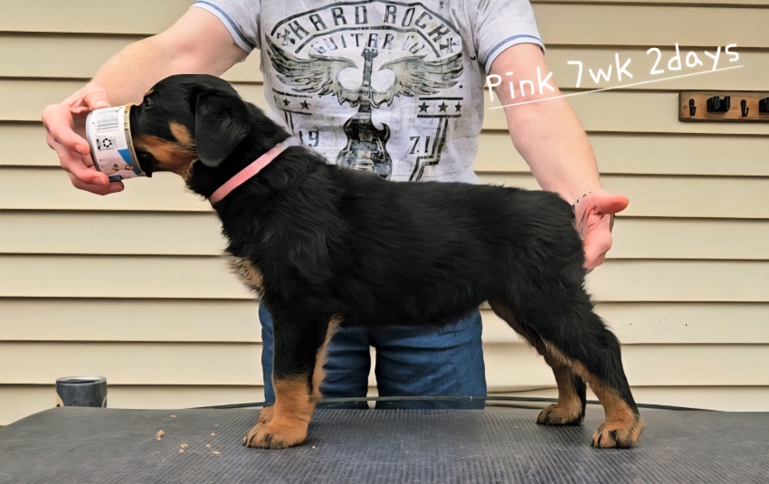 Click for Larger View