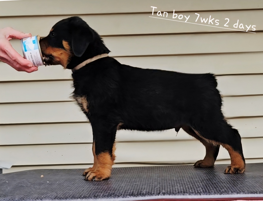 Click for Larger View