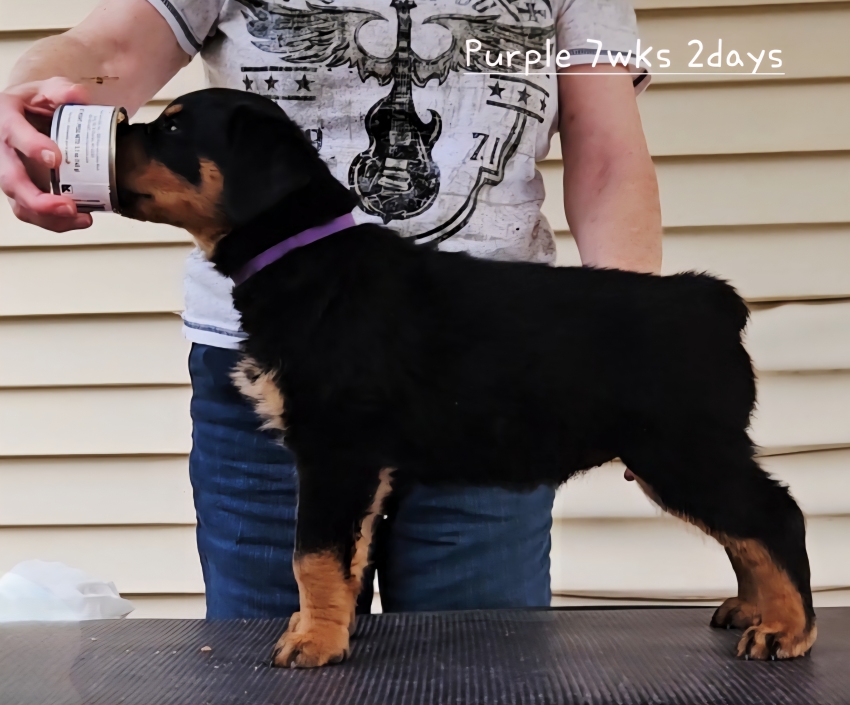 Click for Larger View