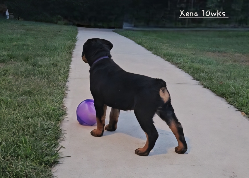 Click for Larger View