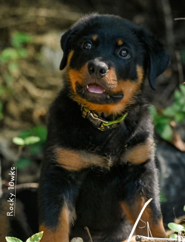 Click for Larger View