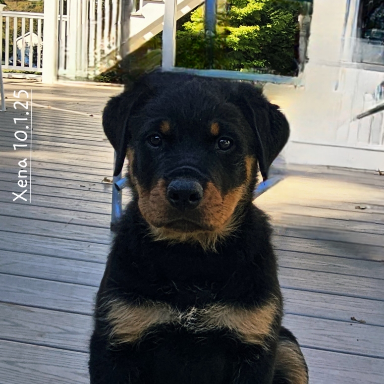 Click for Larger View