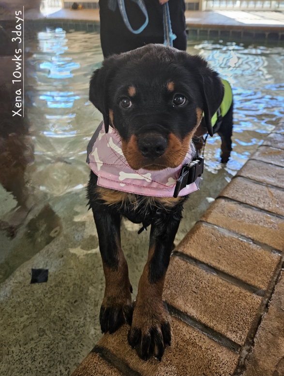 Click for Larger View