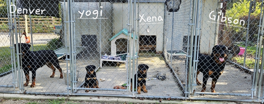 Click for Larger View