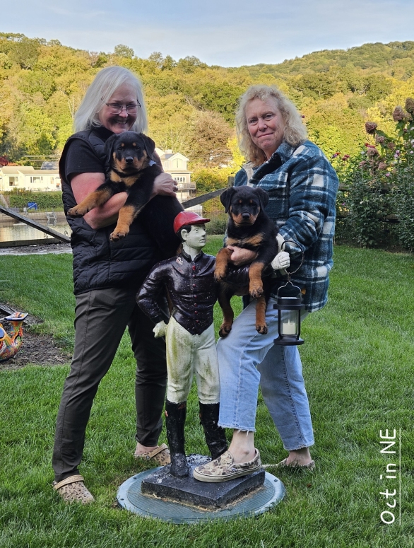 Click for Larger View