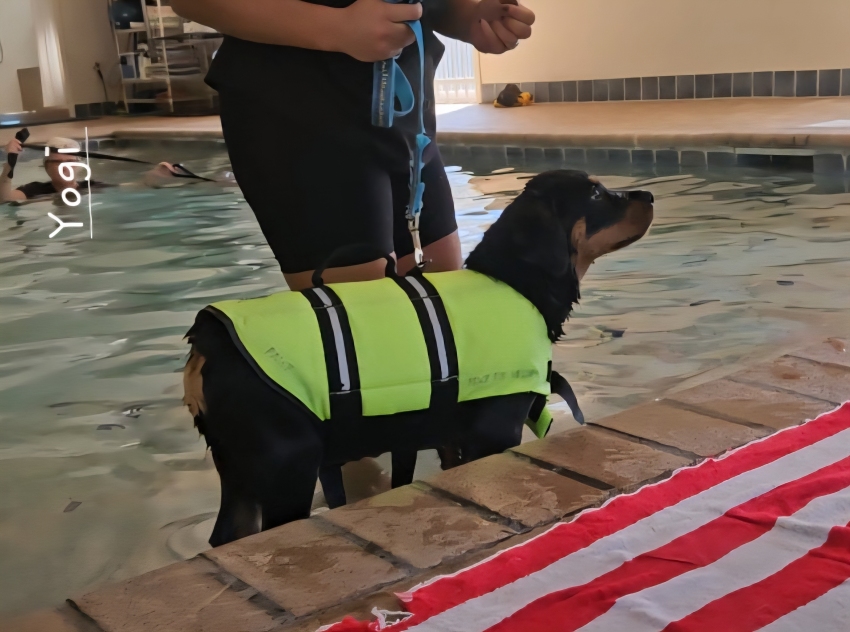 Click for Larger View