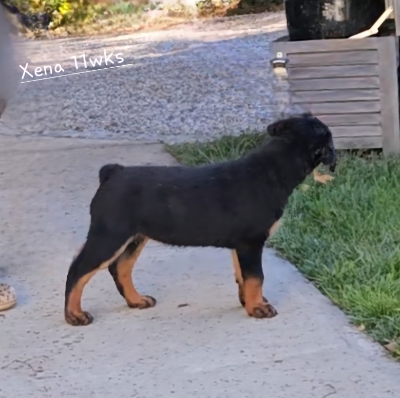 Click for Larger View