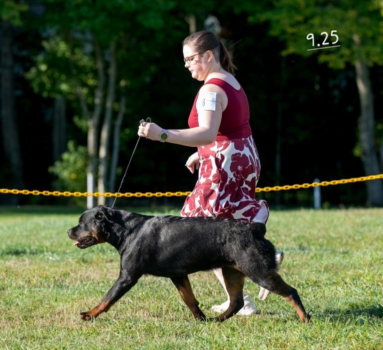 Click for Larger View