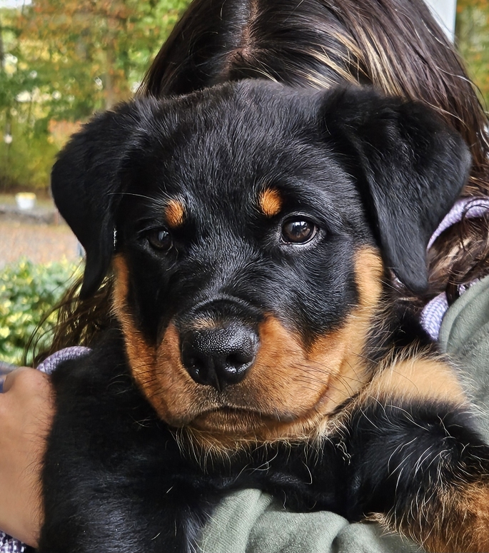 Click for Larger View