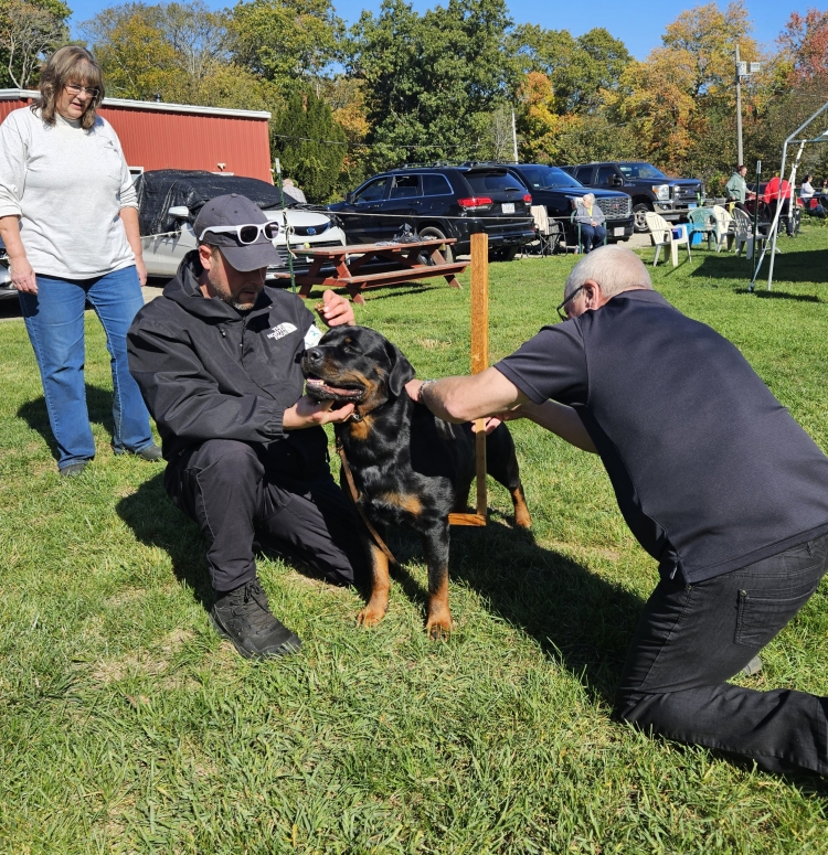 Click for Larger View