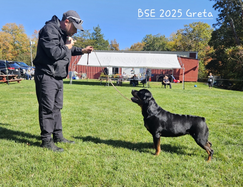 Click for Larger View