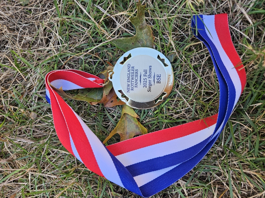 Click for Larger View