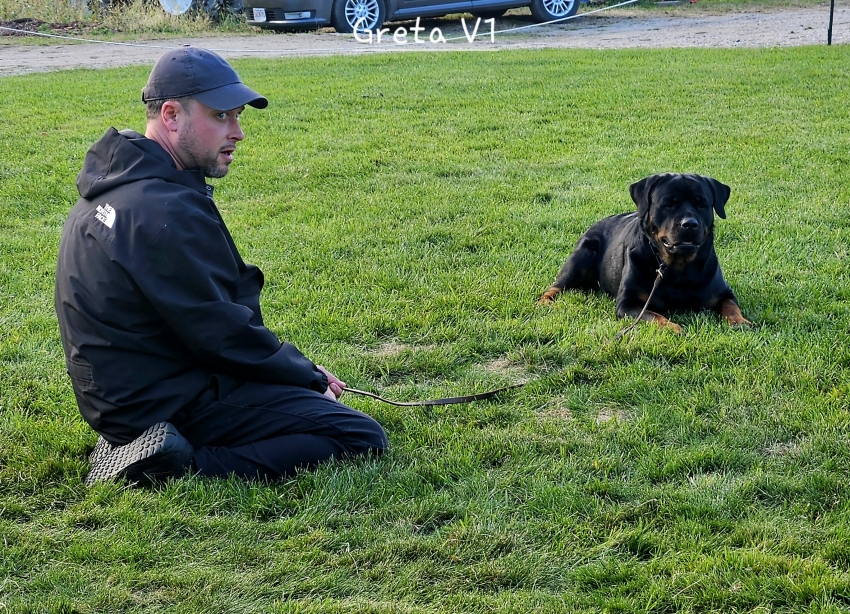 Click for Larger View