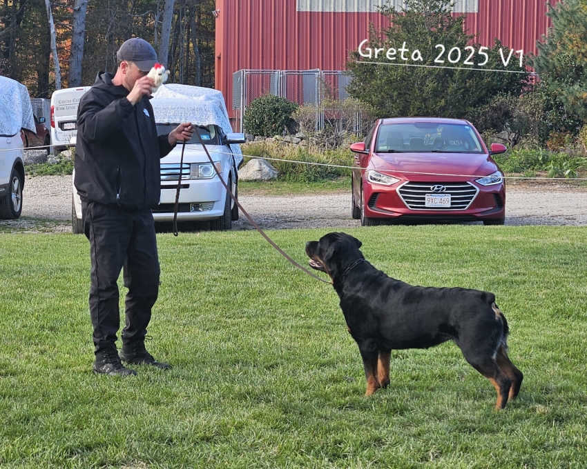 Click for Larger View