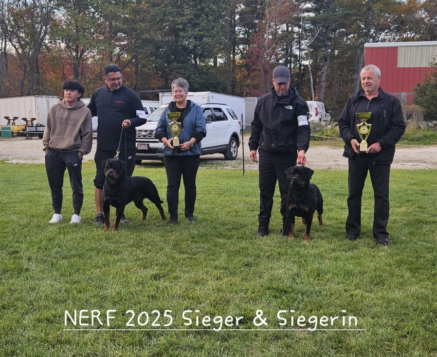 Click for Larger View