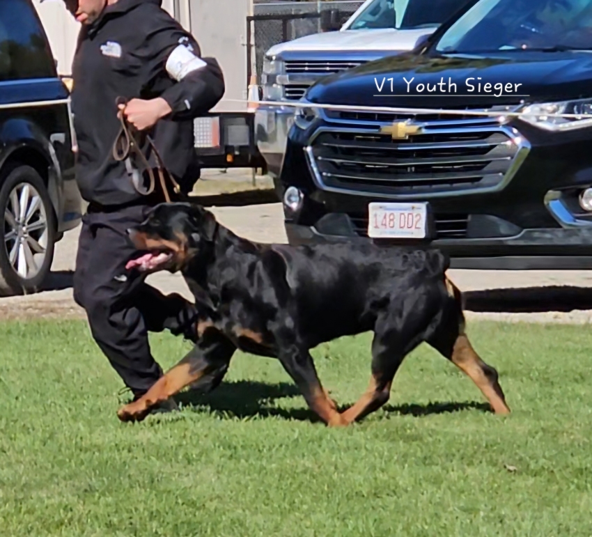 Click for Larger View