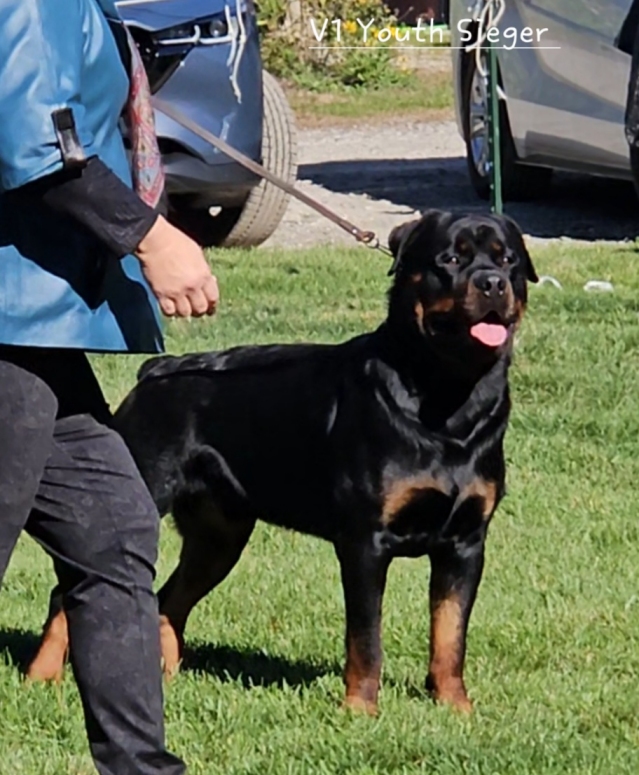 Click for Larger View