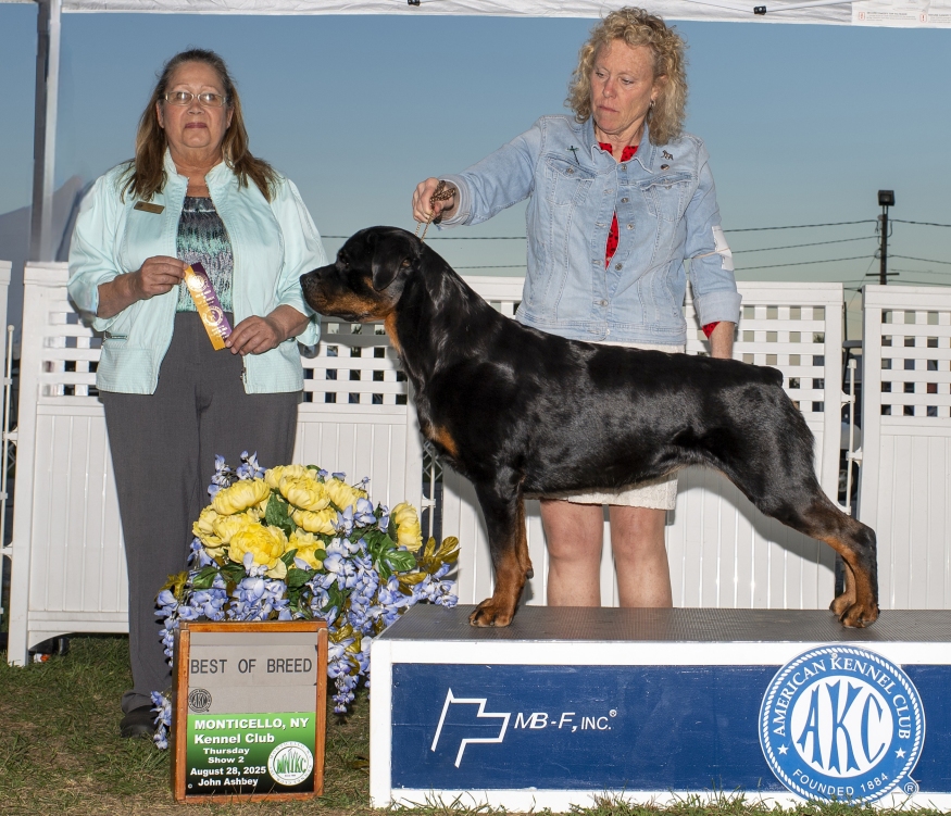 Greta @ 3yrs - Click for Larger View