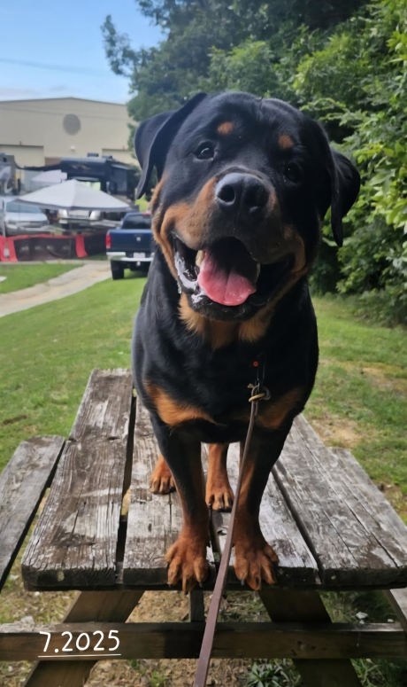 Gibson - Click for Larger View